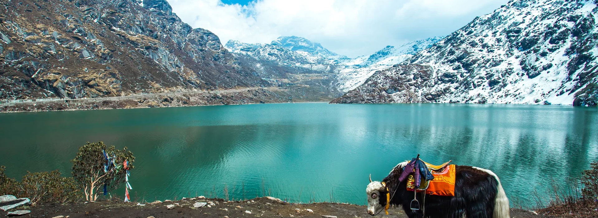 Wild & Wonderful Himalayas Tour